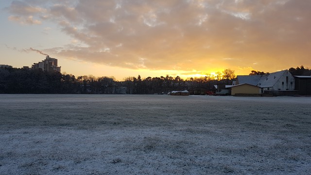 Dawn in winter
